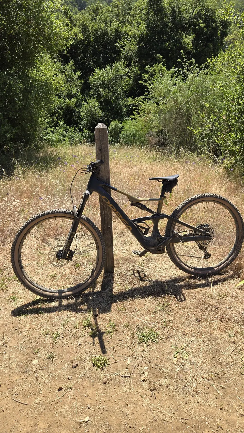 Orbea Rise SL