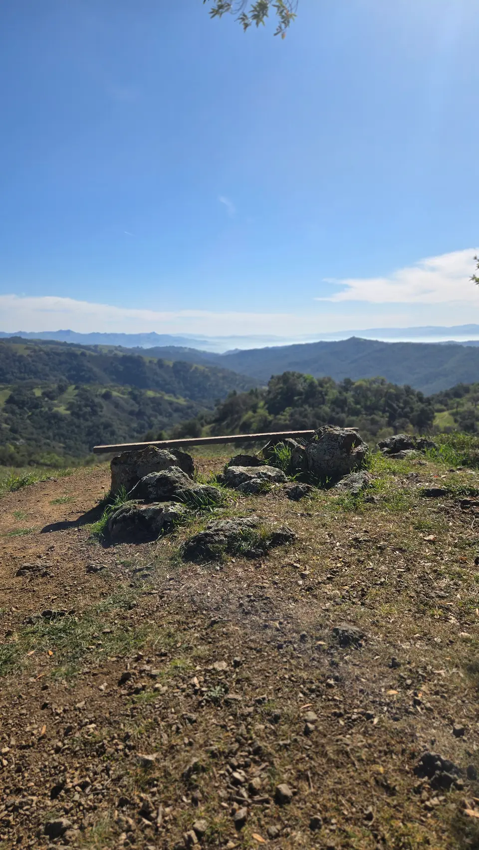 Henry Coe looking out over Diablo mountain range