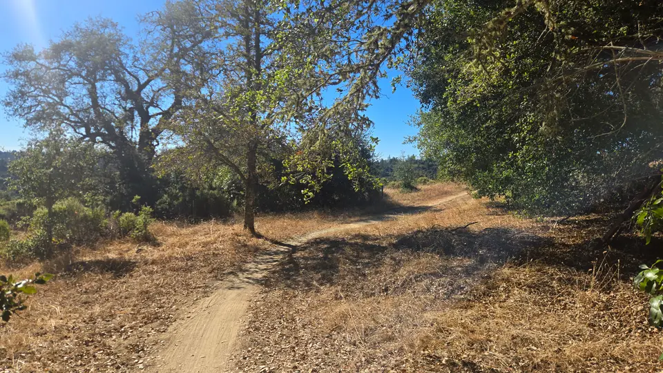 White Oak Trail