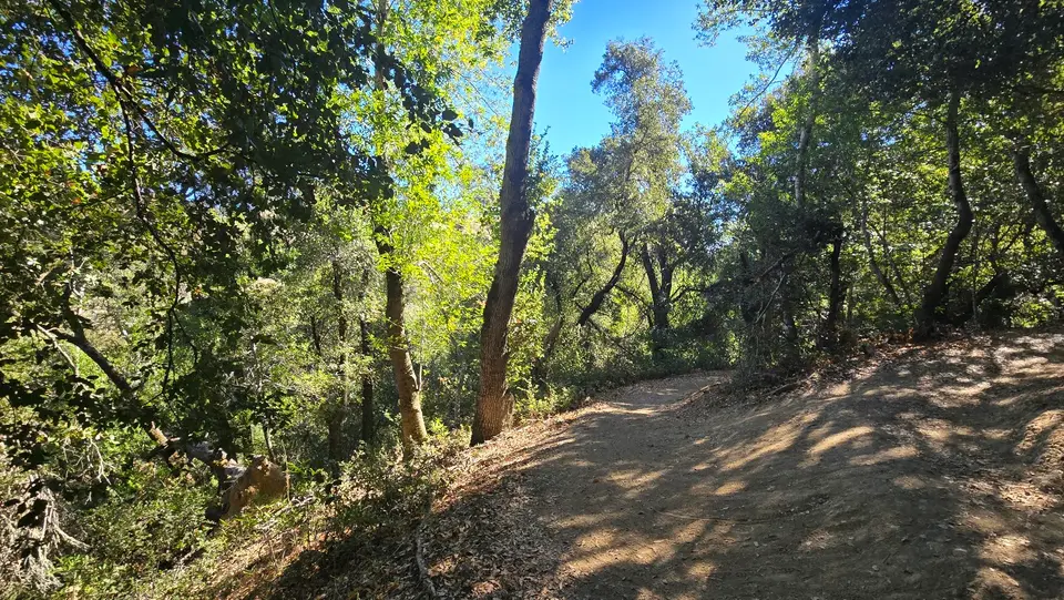 White Oak Trail