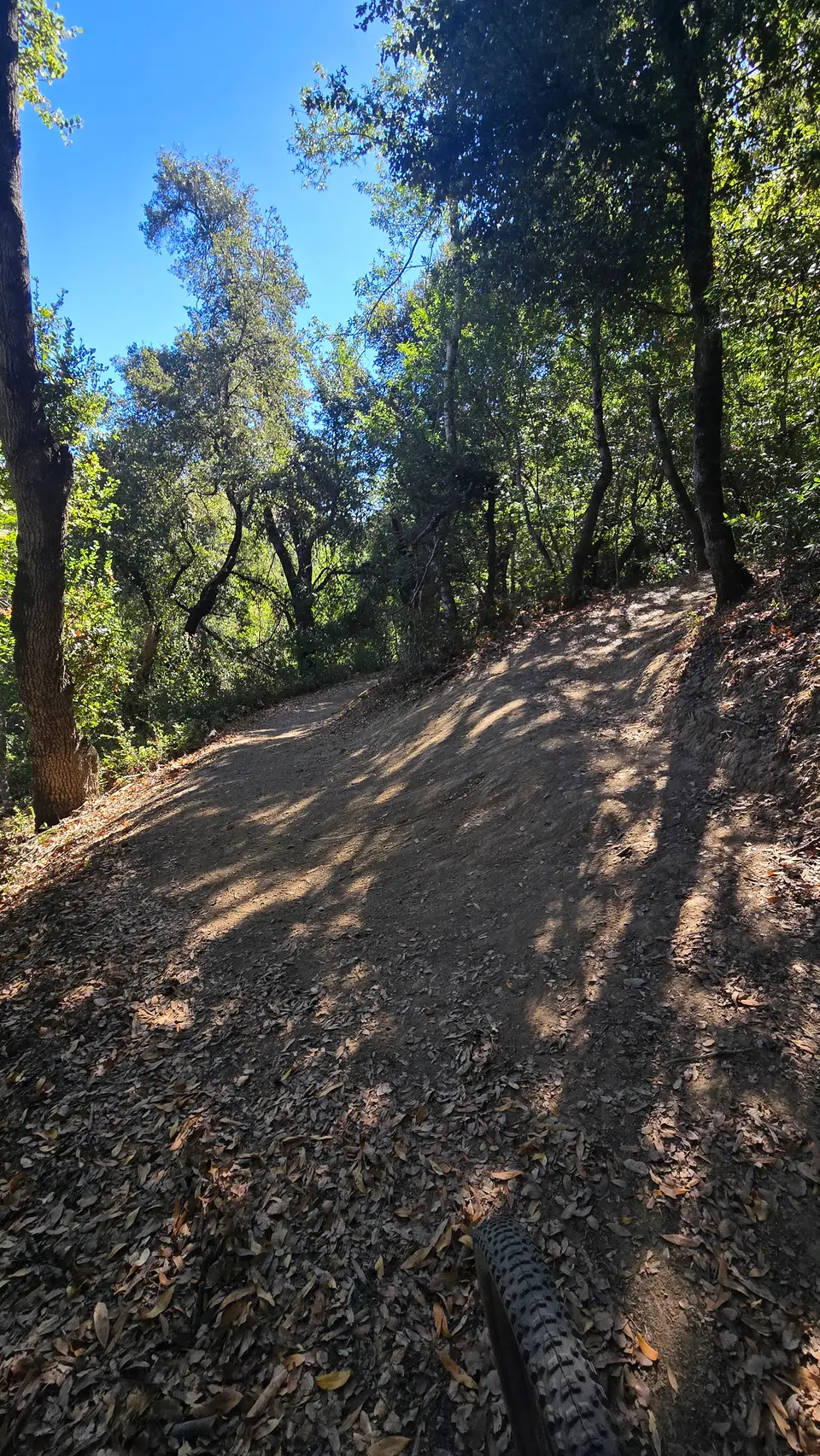 White Oak Trail