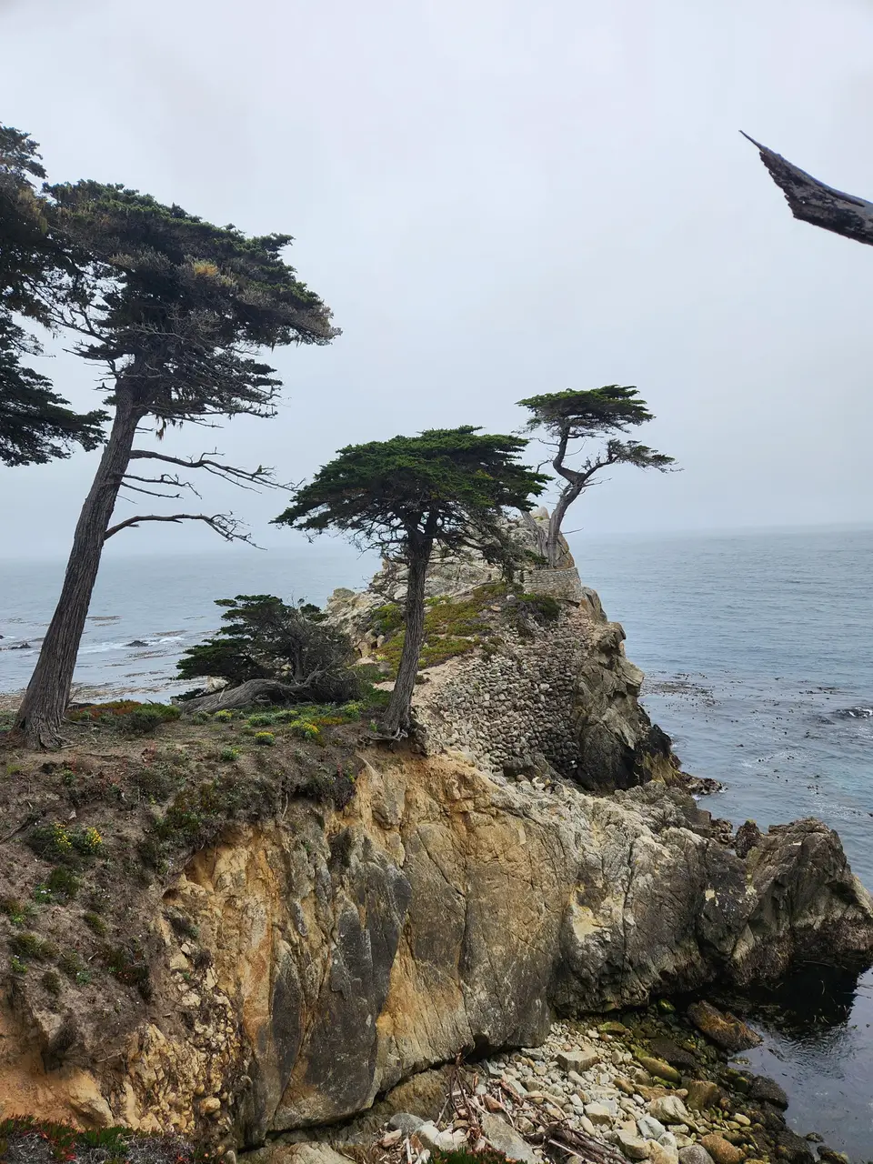 17-Mile Drive