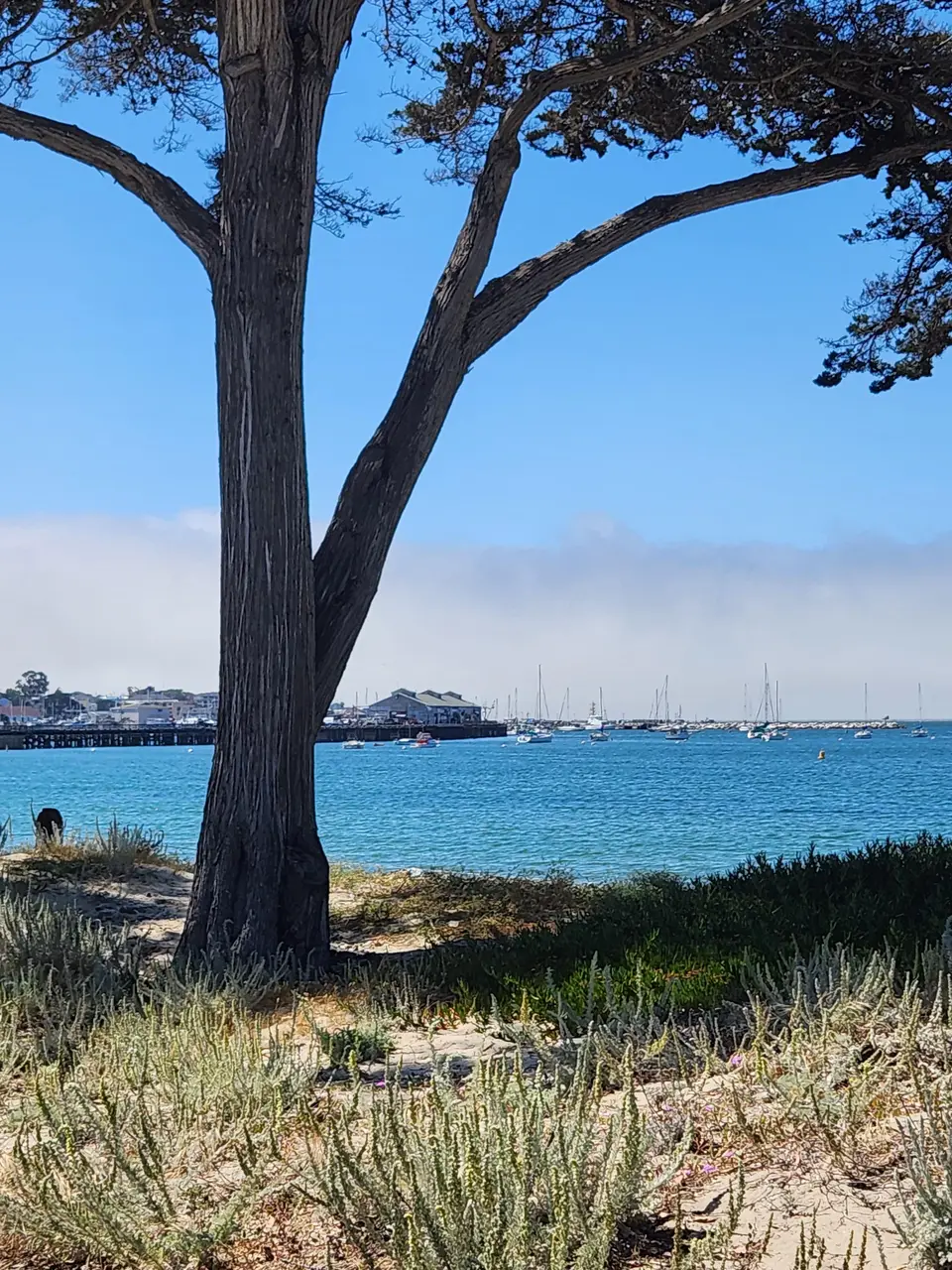 17-Mile Drive