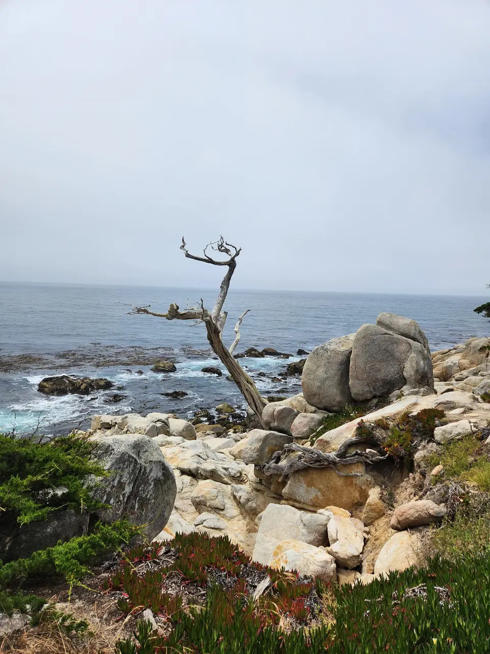 17-Mile Drive