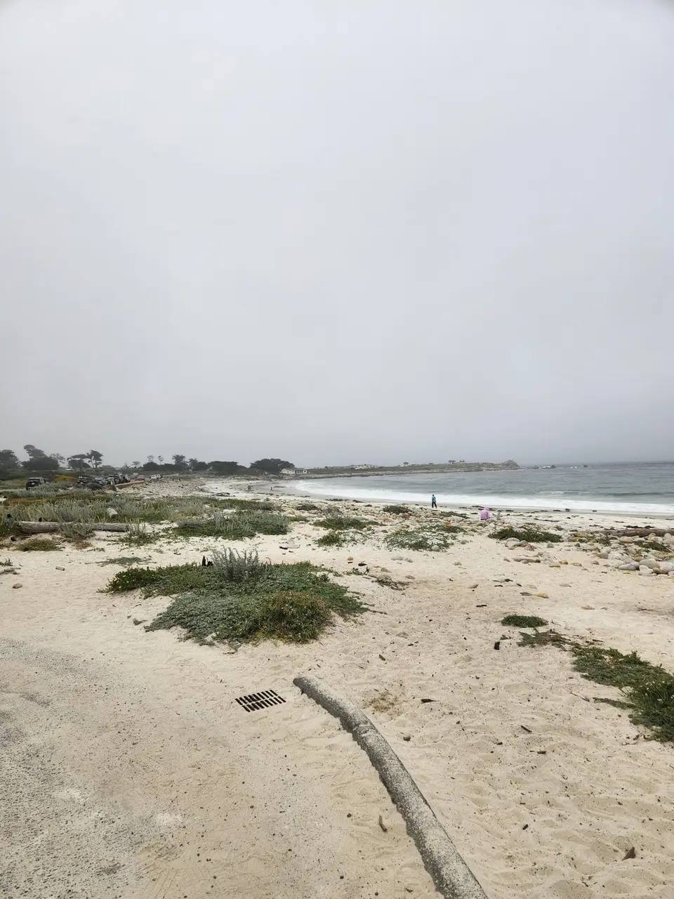 17-Mile Drive