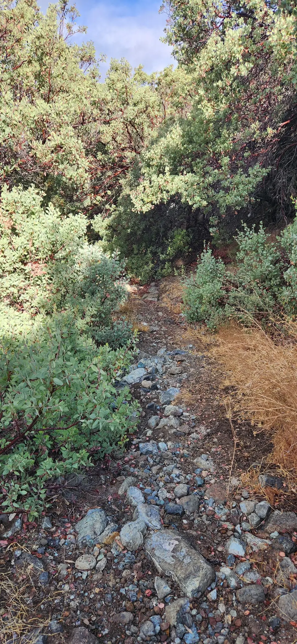 Almaden Quicksilver County Park
