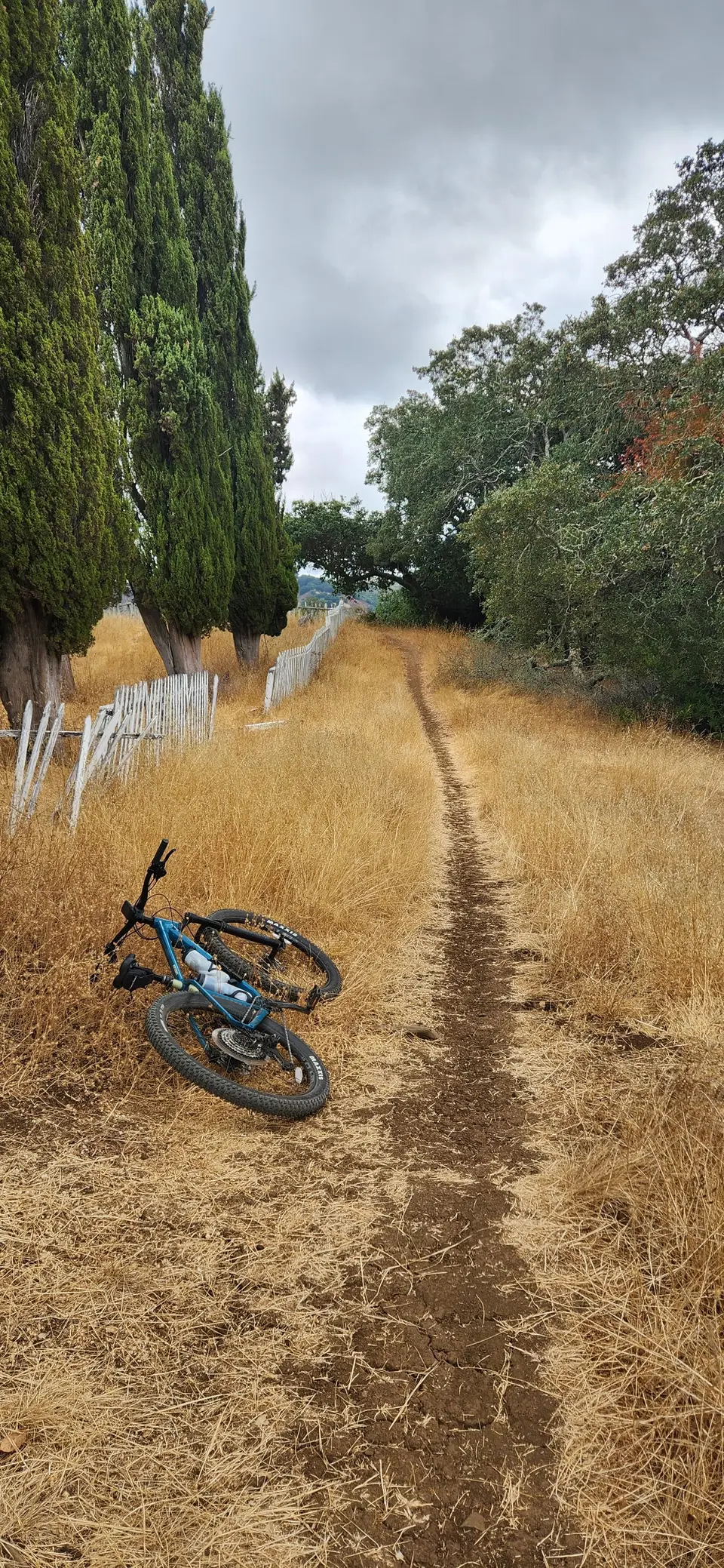 Almaden Quicksilver County Park