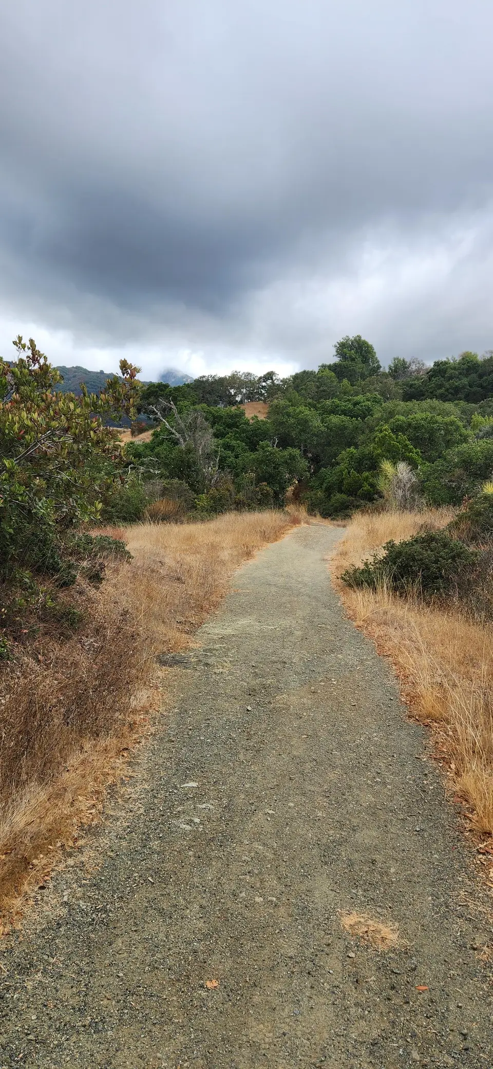 Almaden Quicksilver County Park
