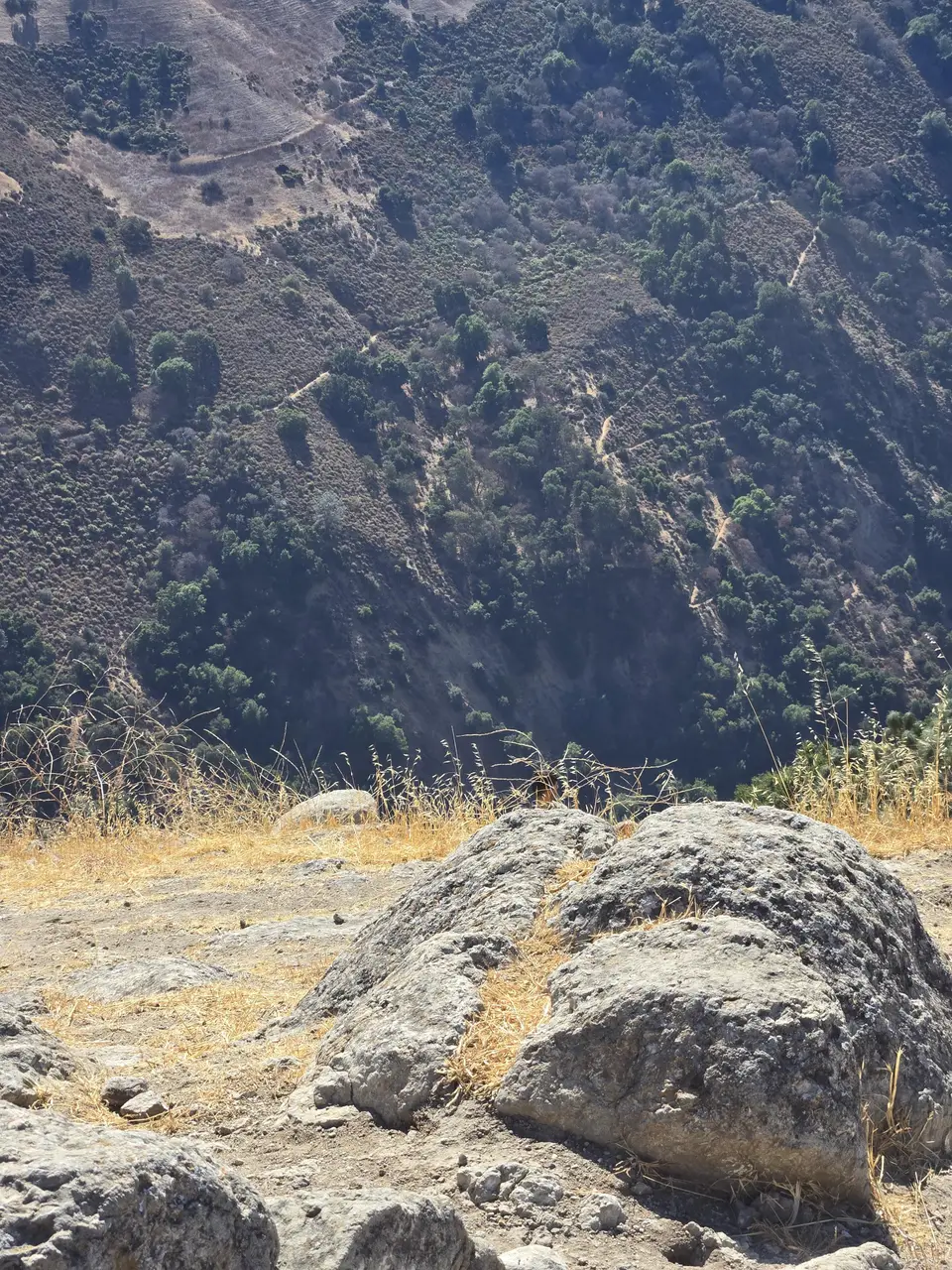 Alum Rock Park