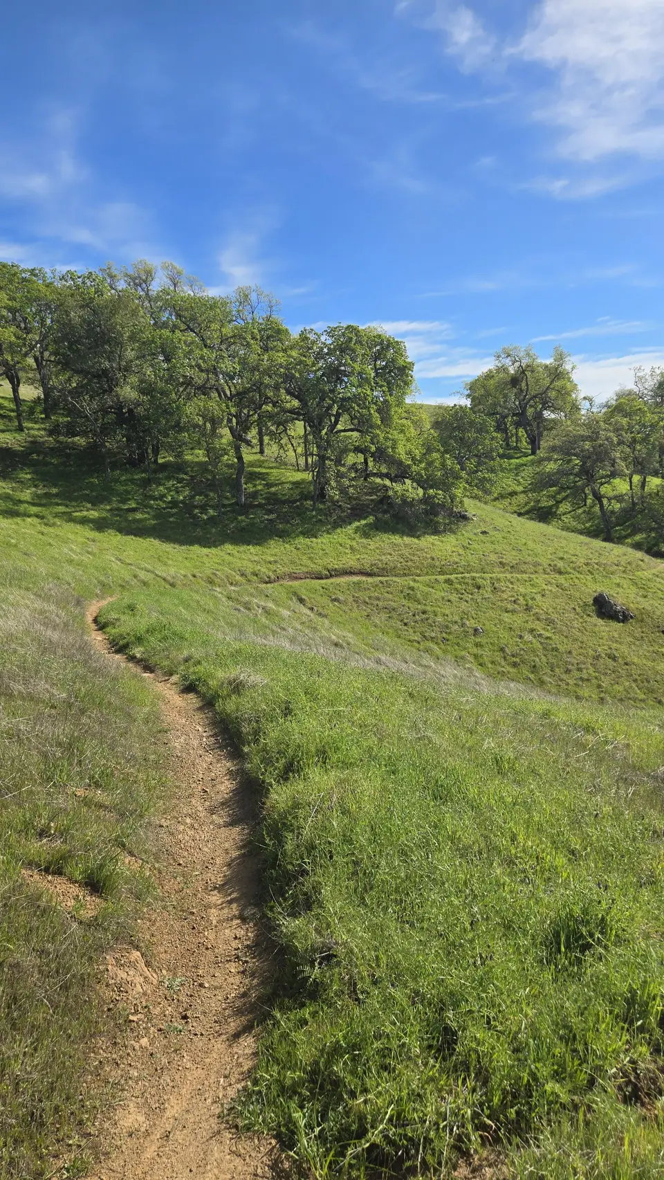 Anza Trail