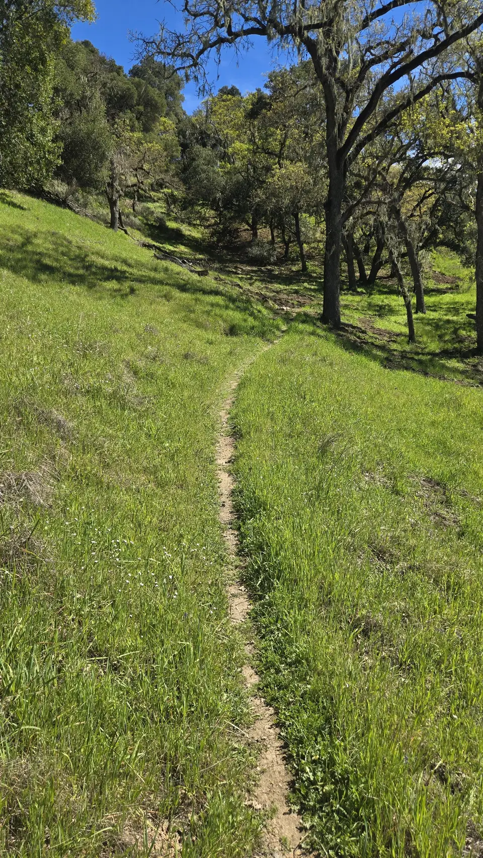 Anza Trail