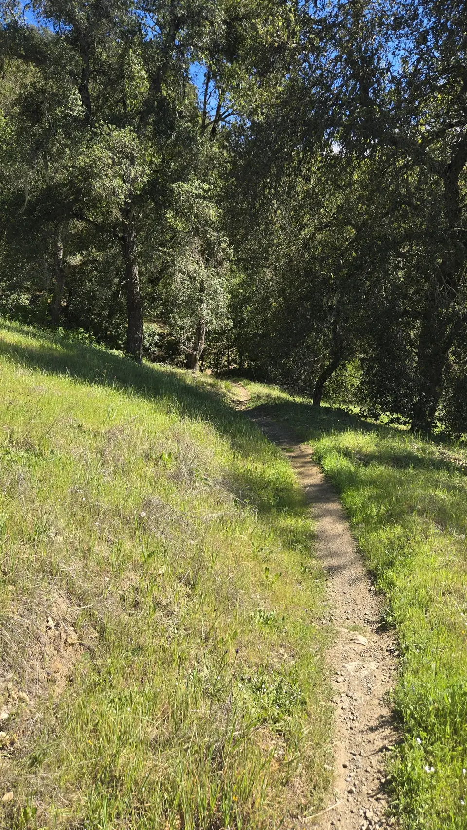 Anza Trail