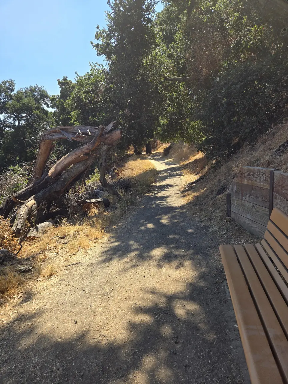 Belgatos Park / Heintz Open Space