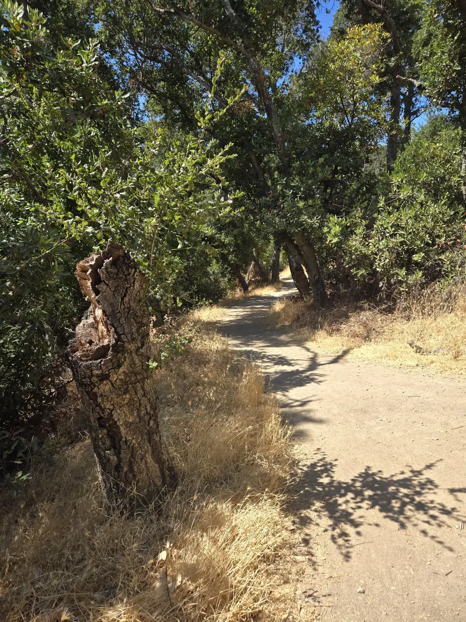 Belgatos Park / Heintz Open Space