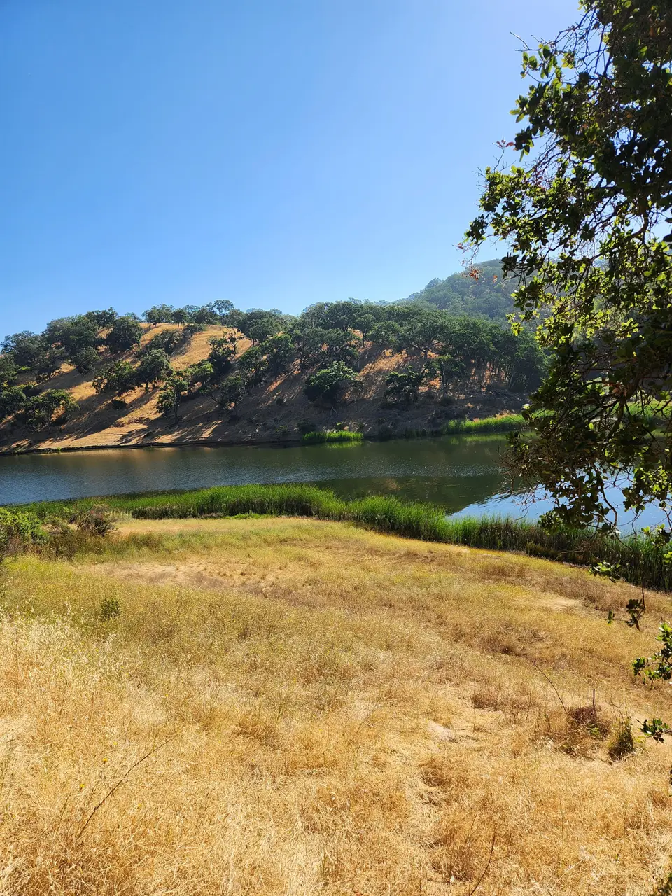 Calero County Park