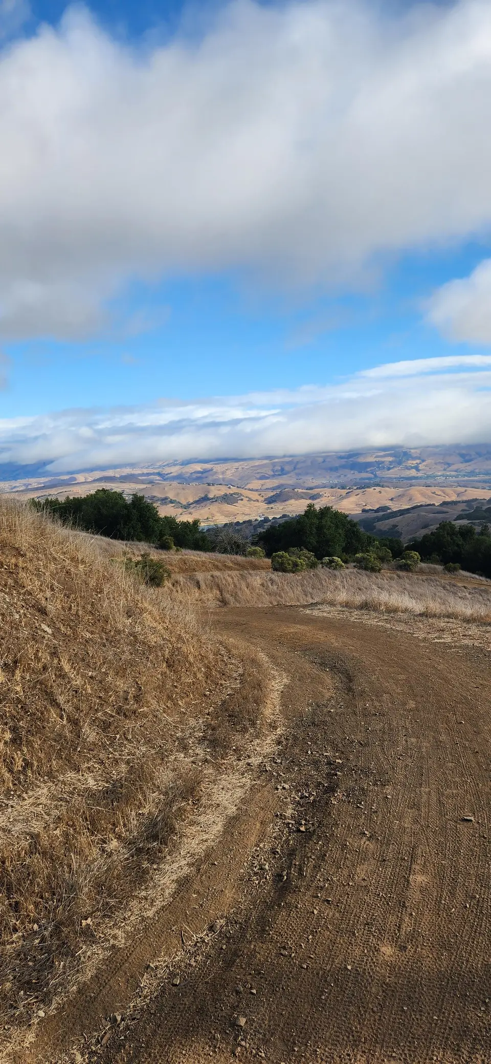 Calero County Park