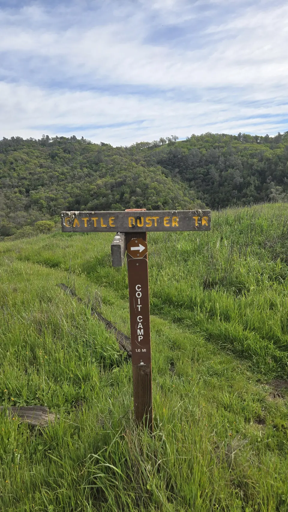 Cattle Duster Trail