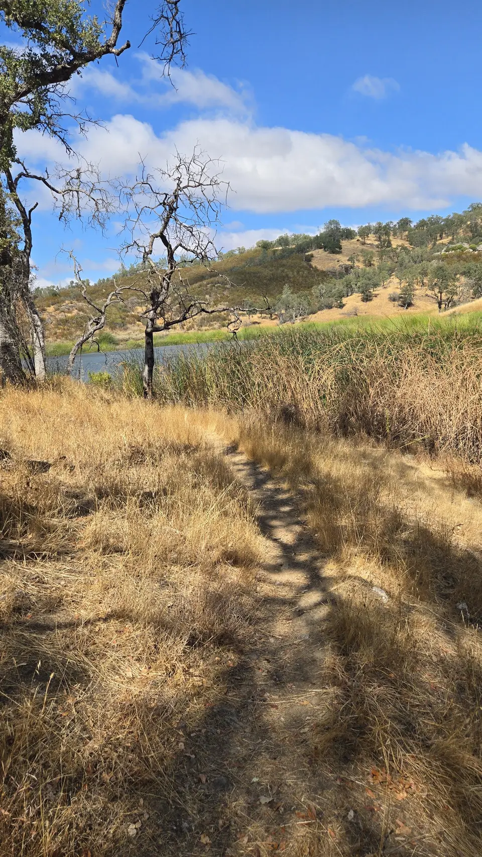 Coit Lake