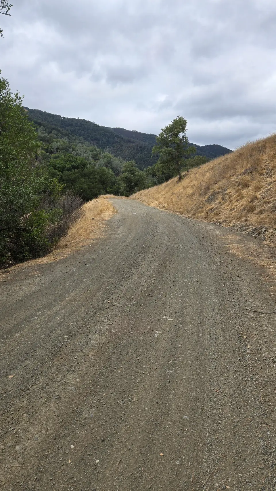 Coit Road