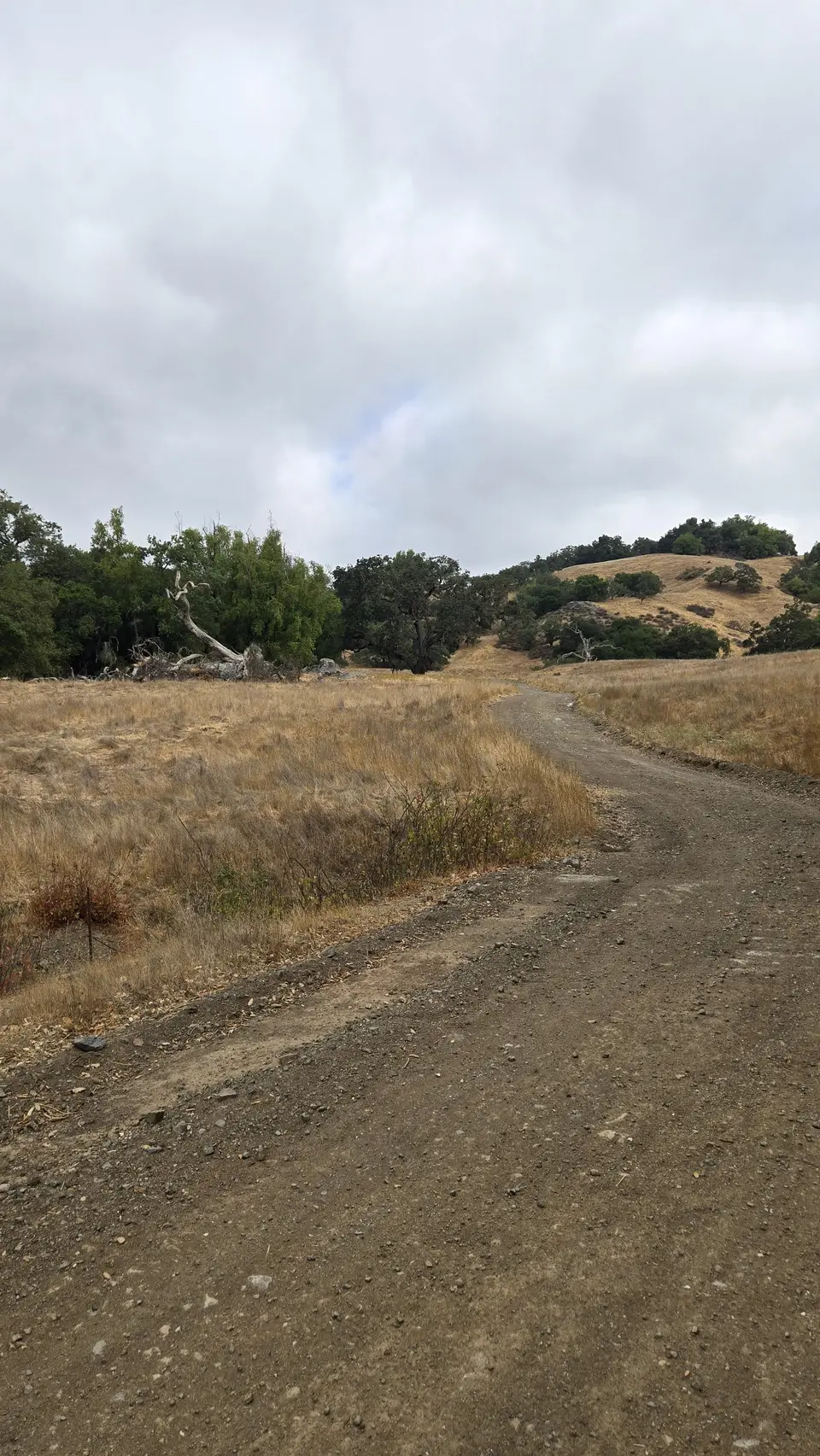 Coit Road