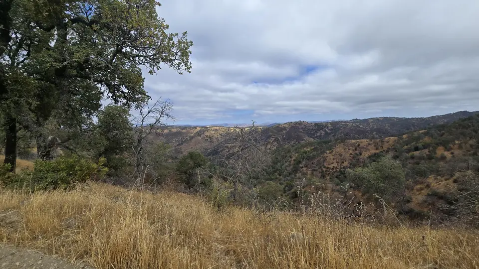 Coit Road