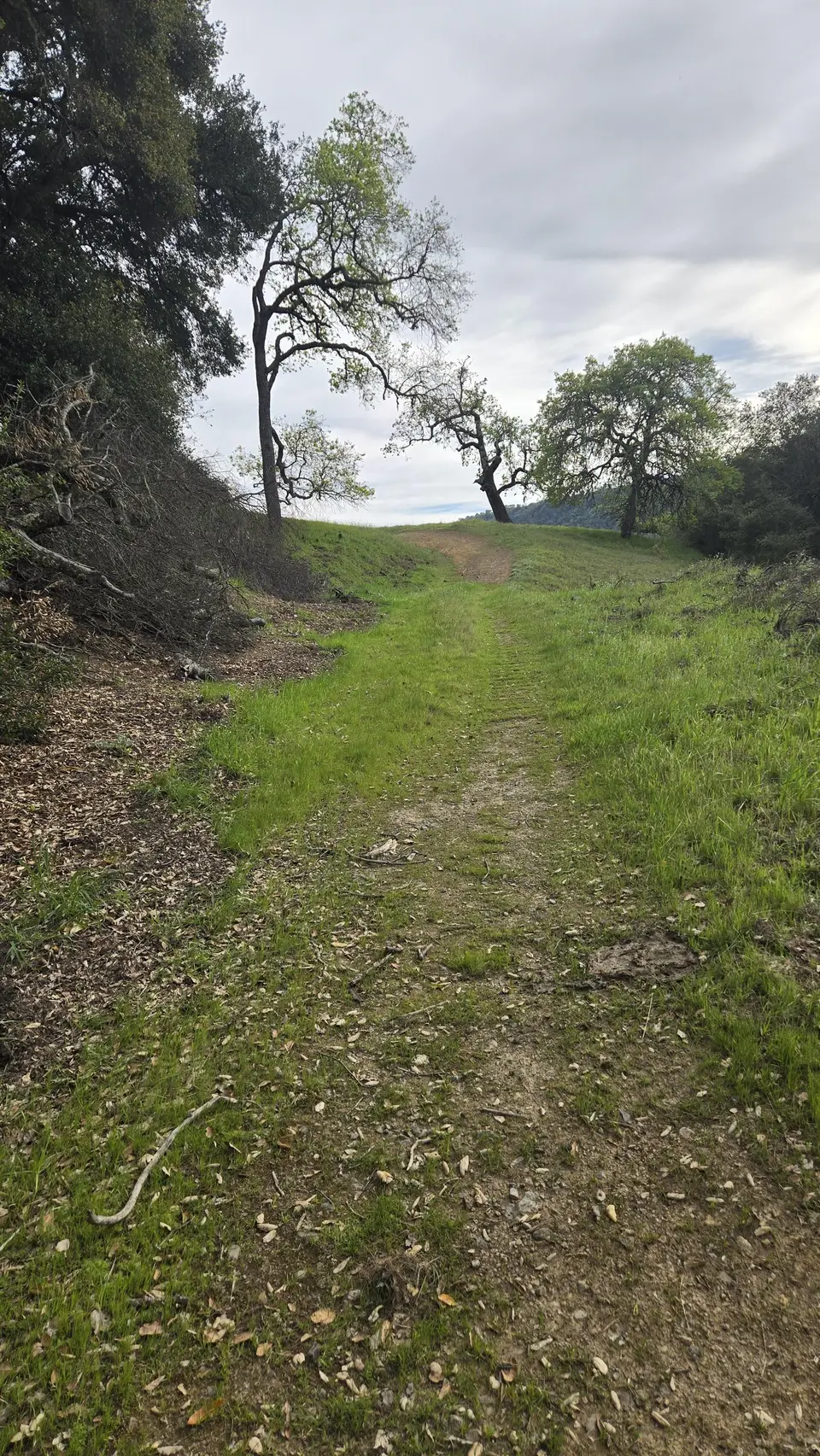 Coit Spring Trail