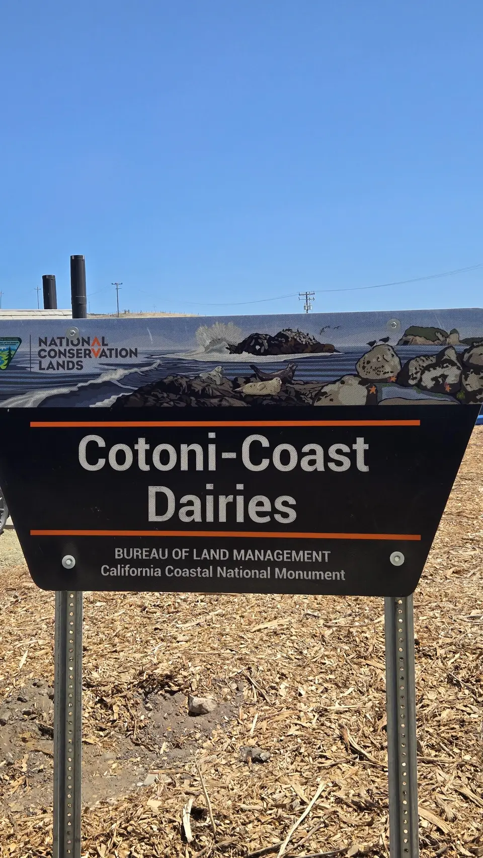 Cotoni-Coast Dairies