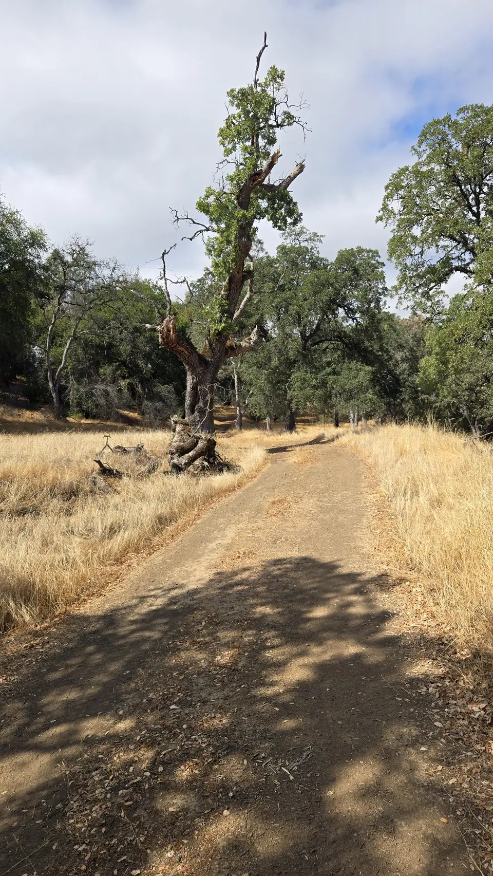 Crest Rd / Willow Ridge Rd