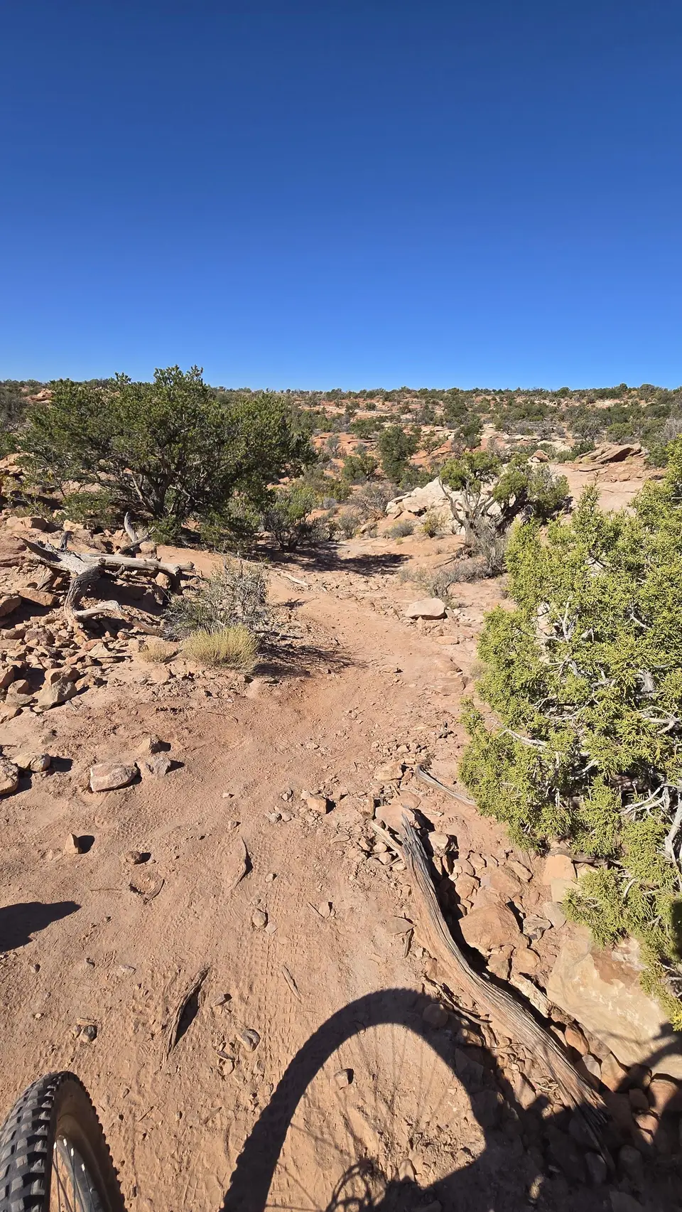 Dead Horse State Park