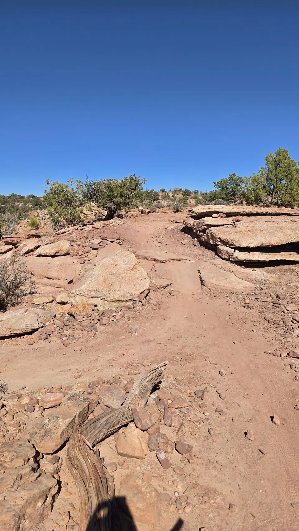 Dead Horse State Park