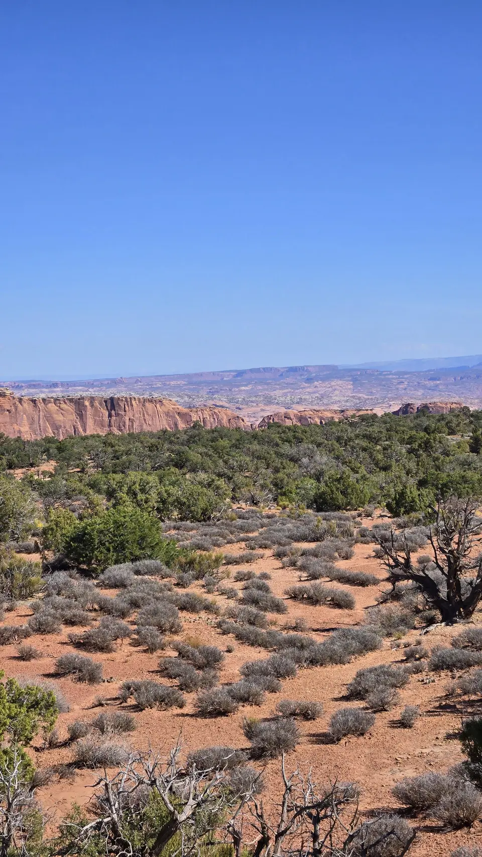 Dead Horse State Park