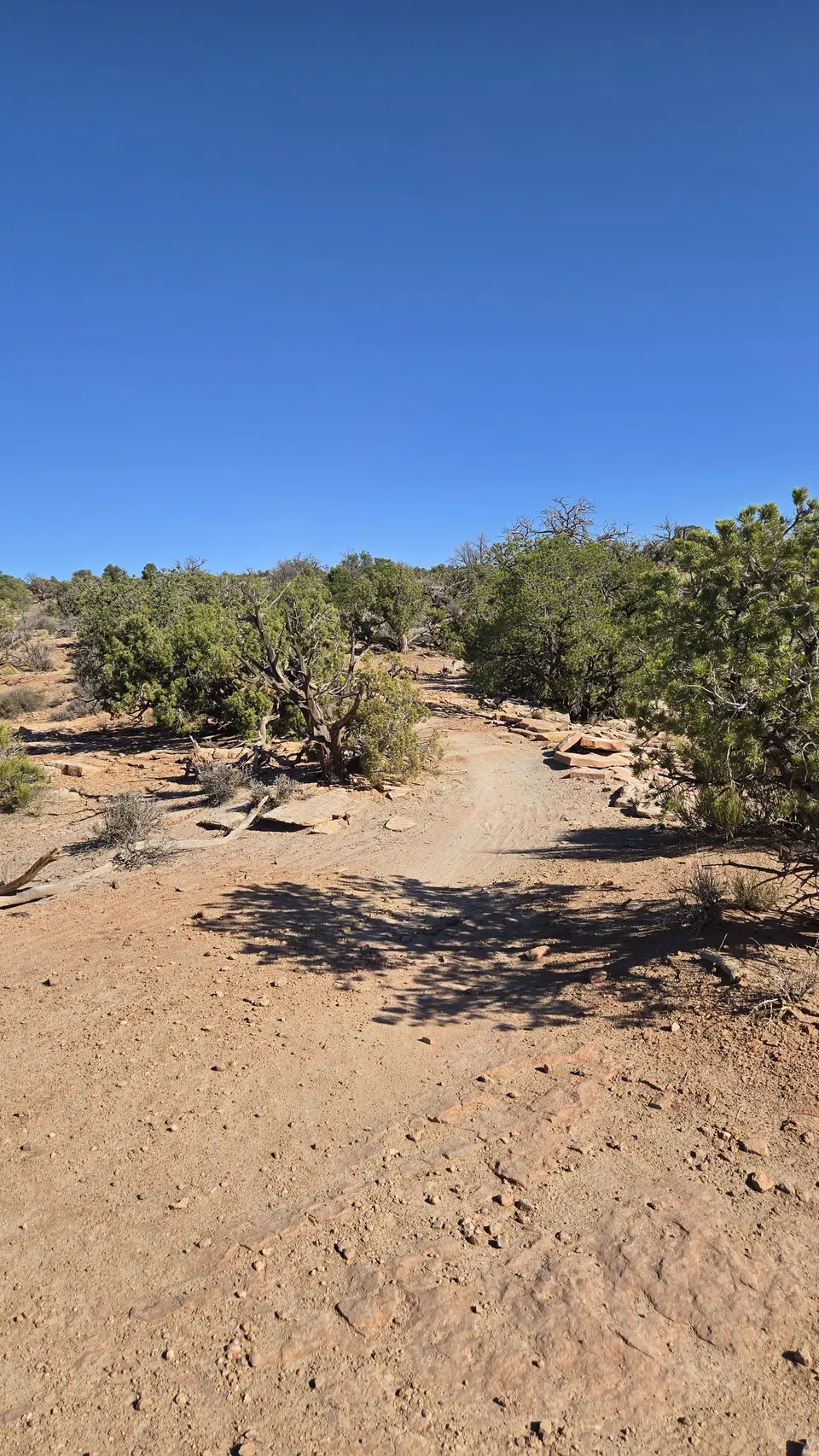 Dead Horse State Park