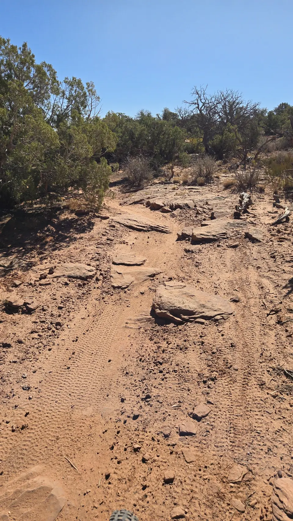 Dead Horse State Park