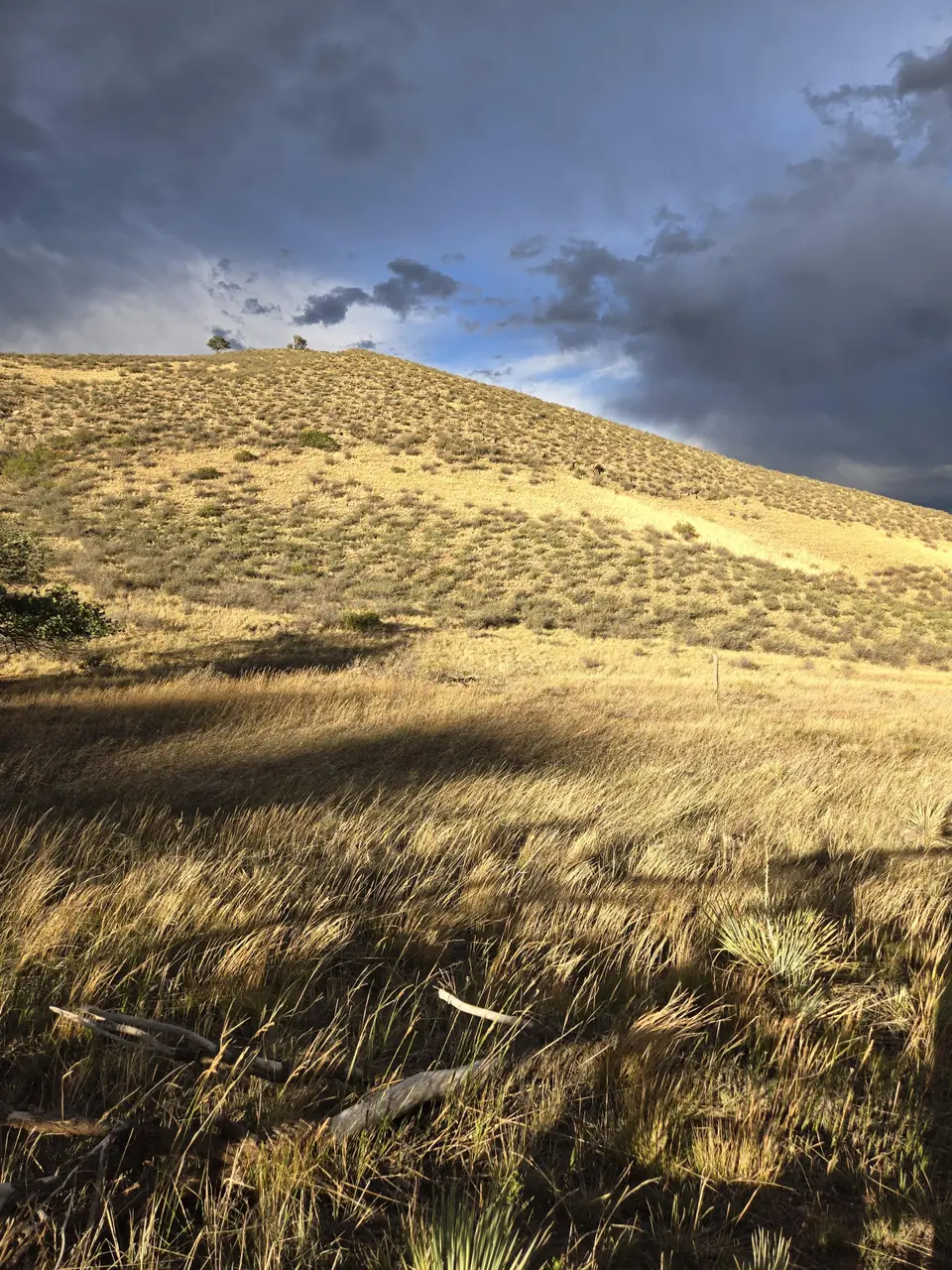 Devil's Backbone