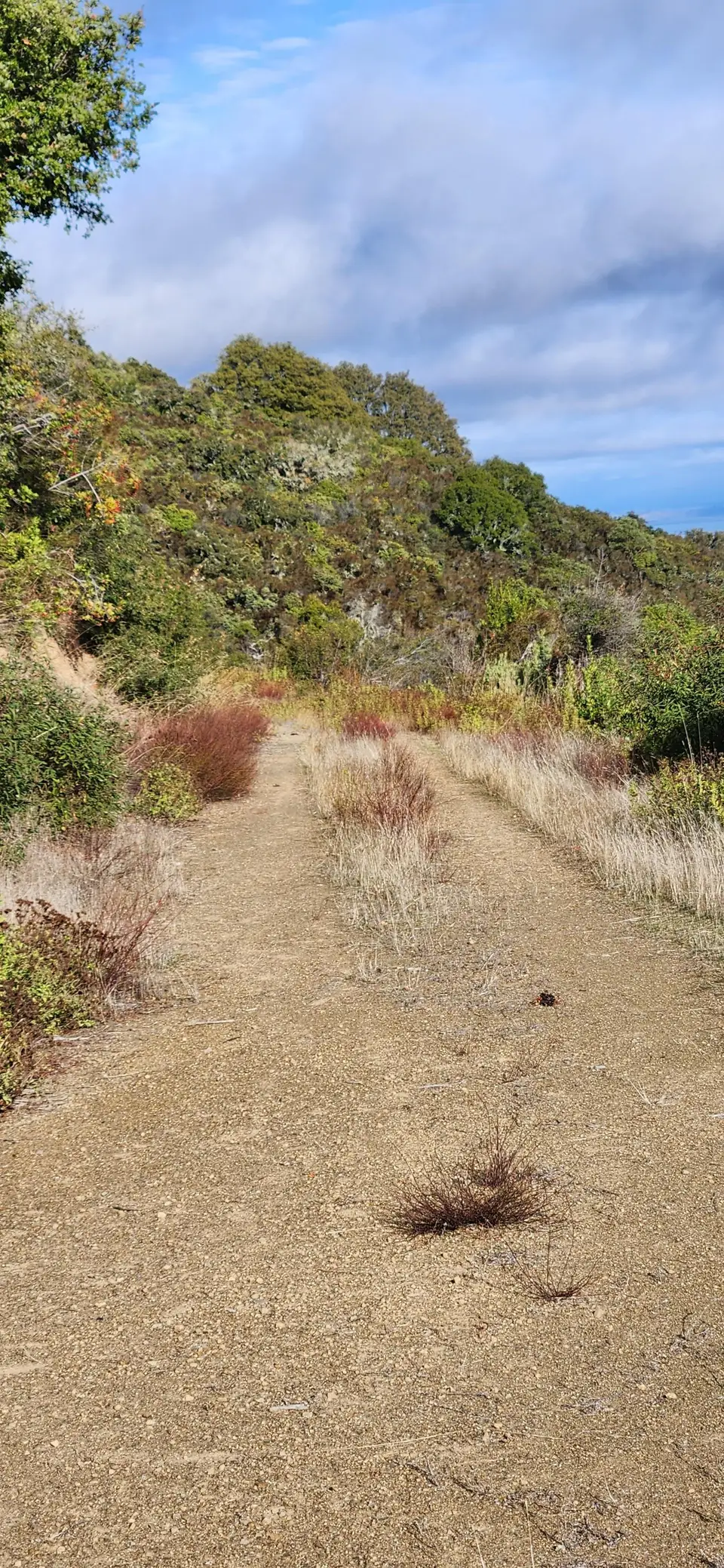 Aquinas Trail