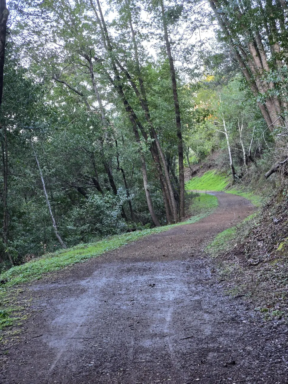 Overlook Trail