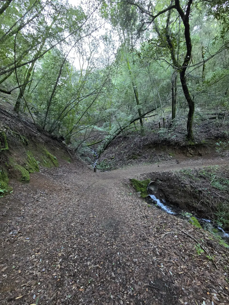 Overlook Trail