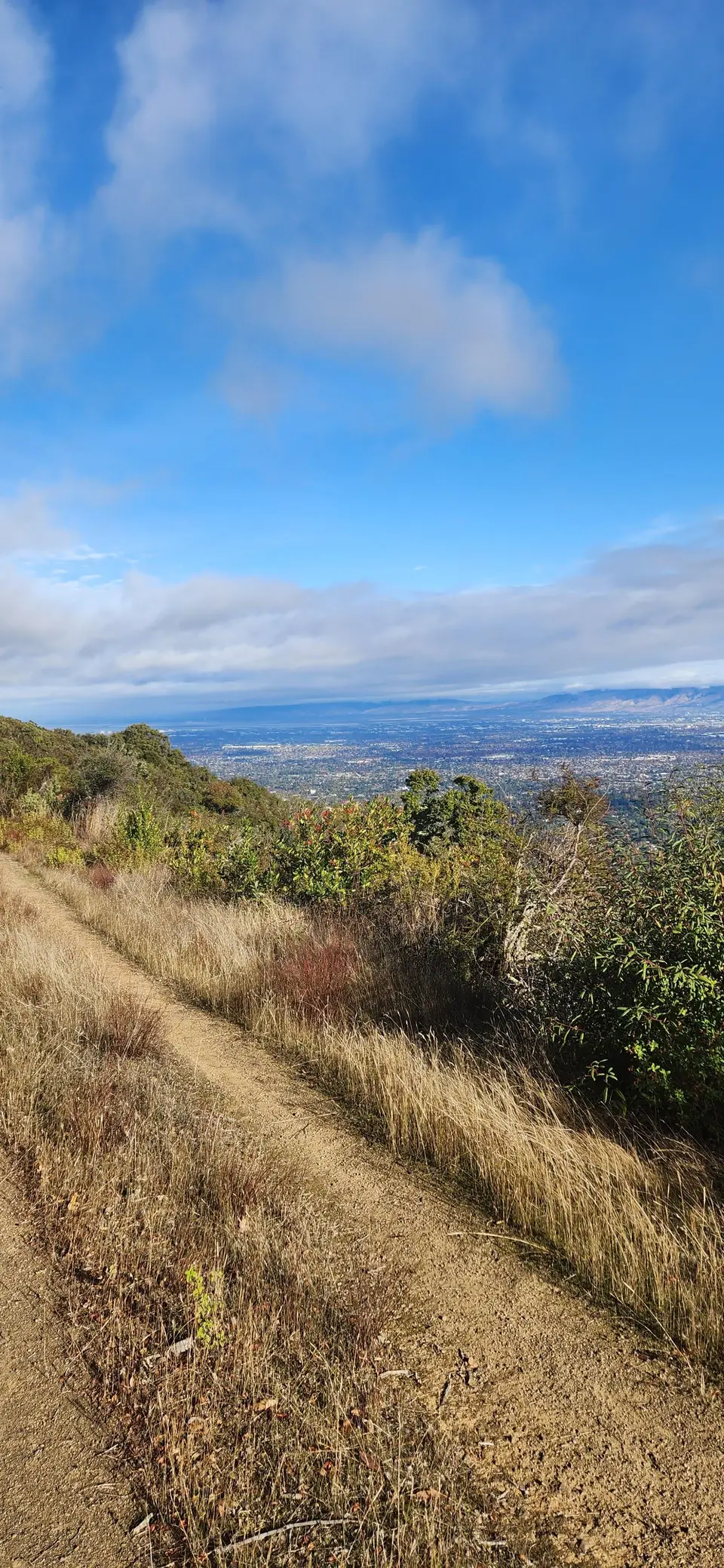 Aquinas Trail