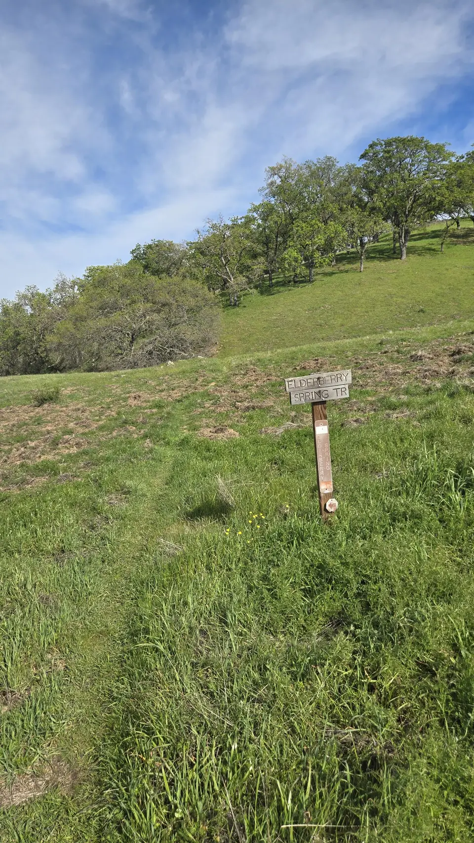 Elderberry Spring Trail