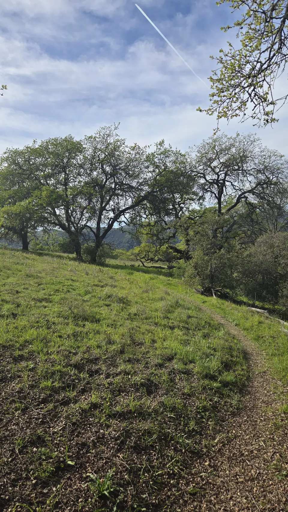 Elderberry Spring Trail
