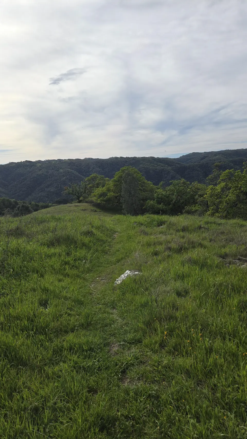 Elderberry Spring Trail