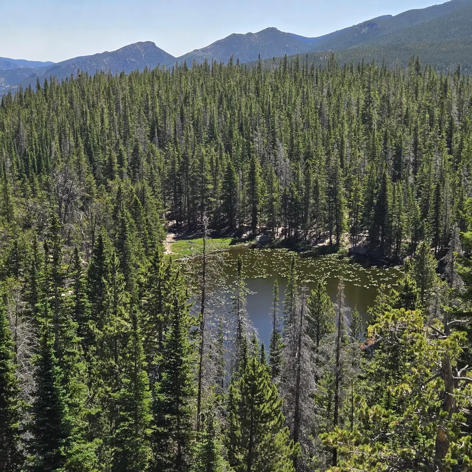 Nymph Lake