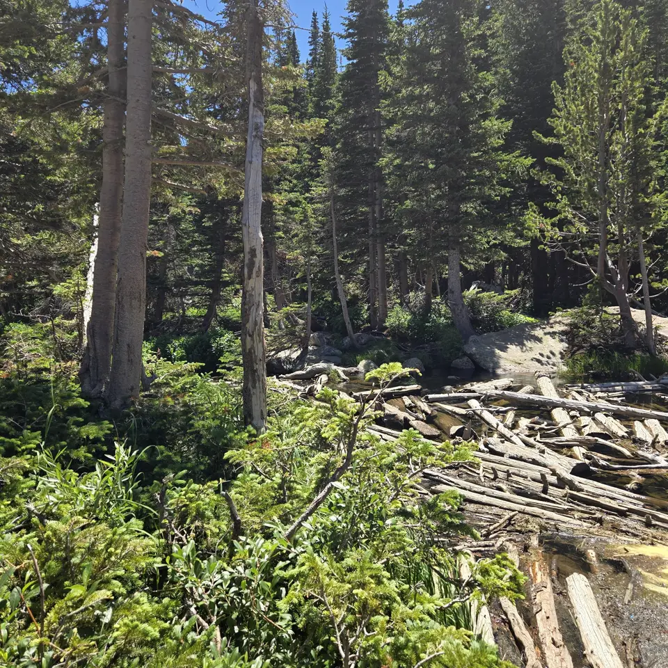 Dream Lake