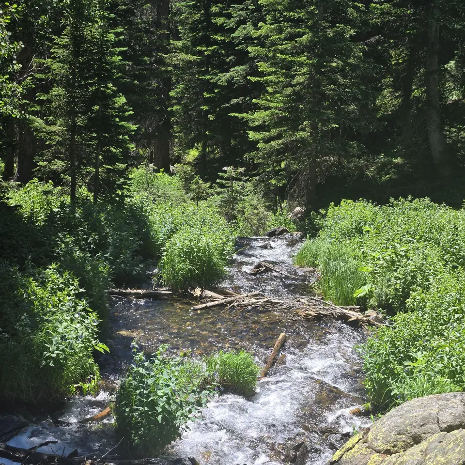 Haiyaha Trail
