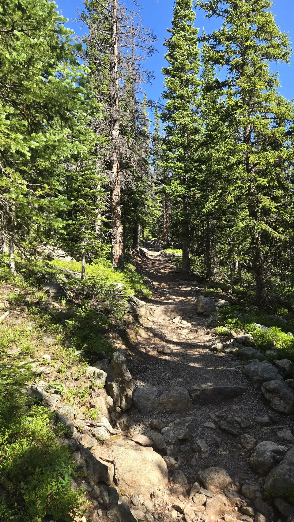 Flattop Mountain Hike