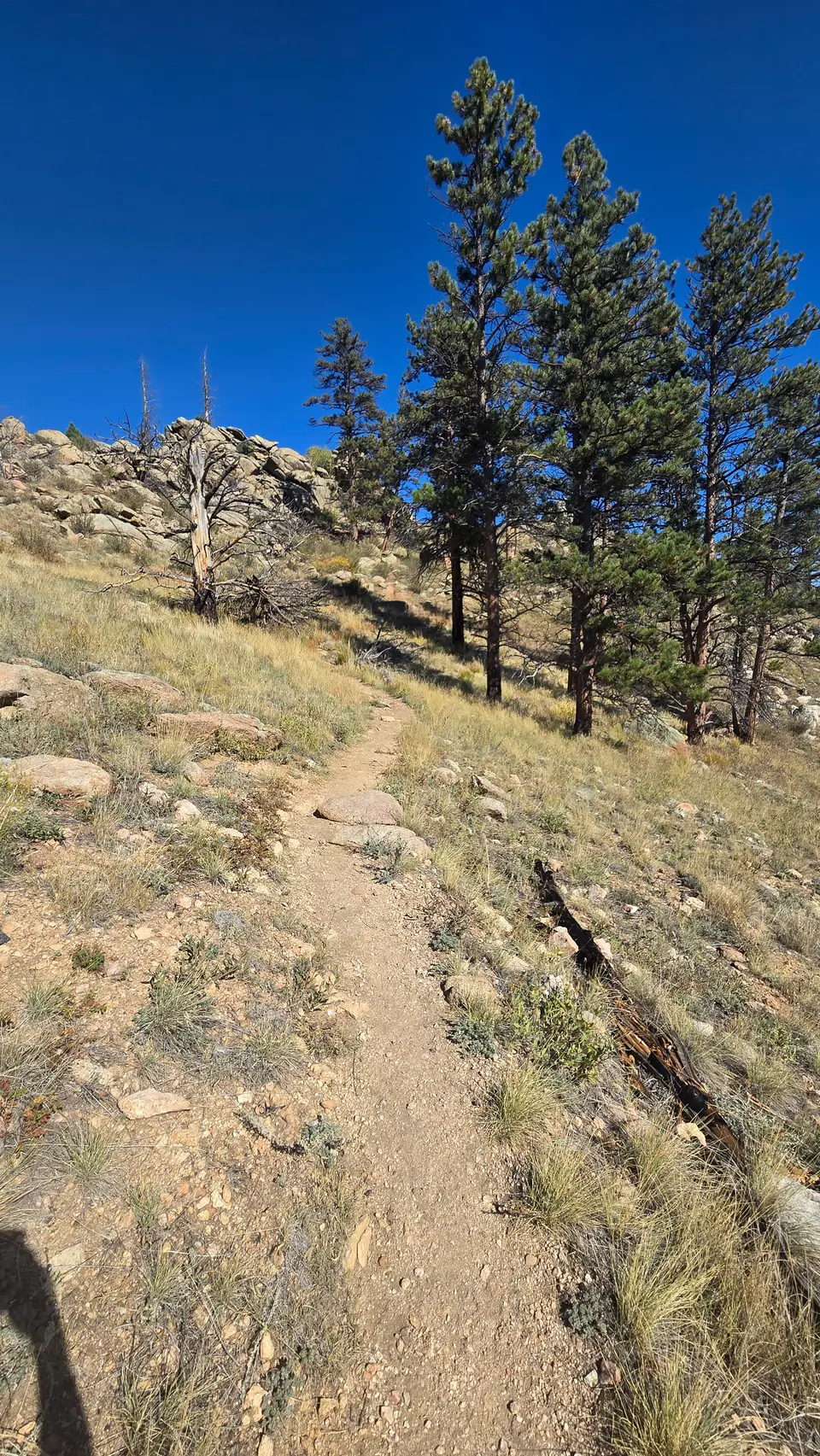 Greyrock Mountain Hike