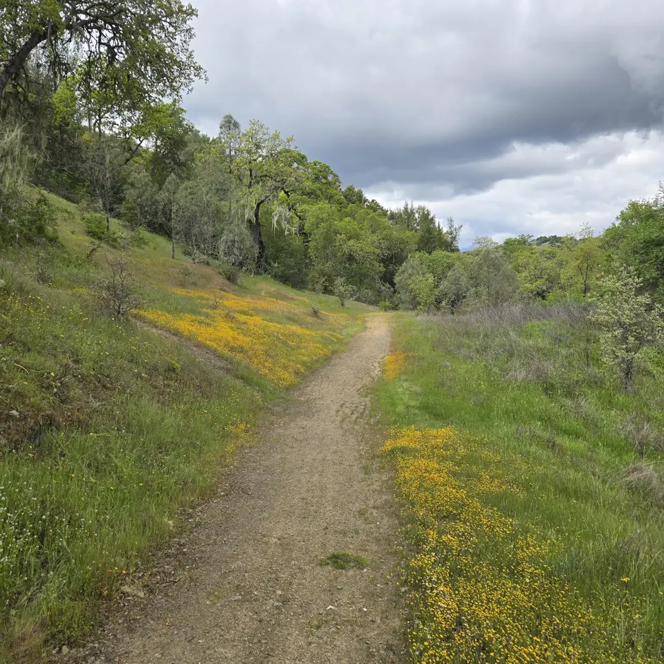 Grizzly Gulch Trail