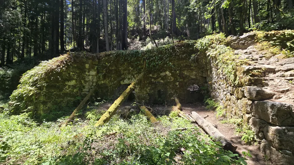 Henry Cowell State Park - Fall Creek Unit