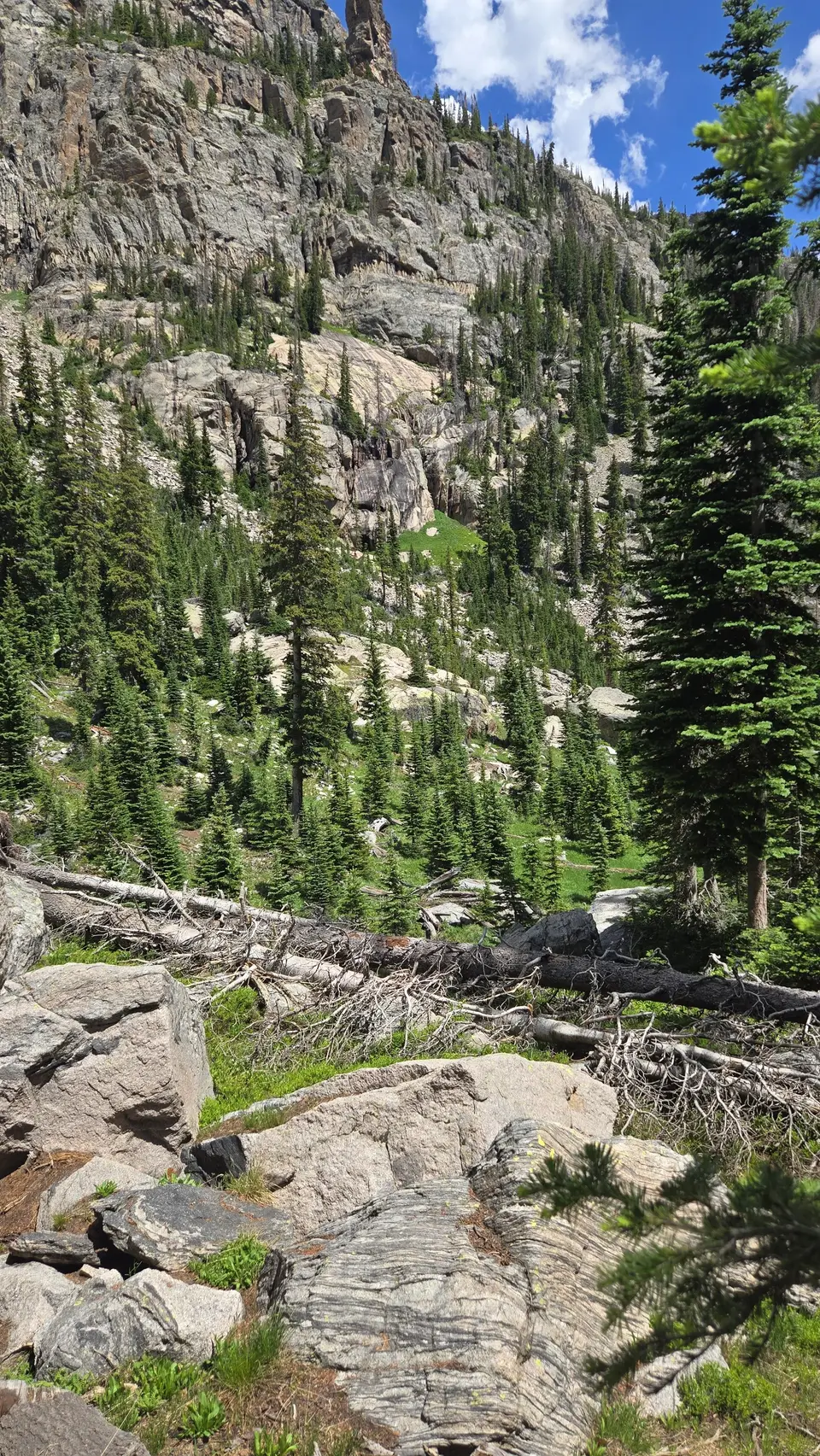 Andrews Glacier Trail