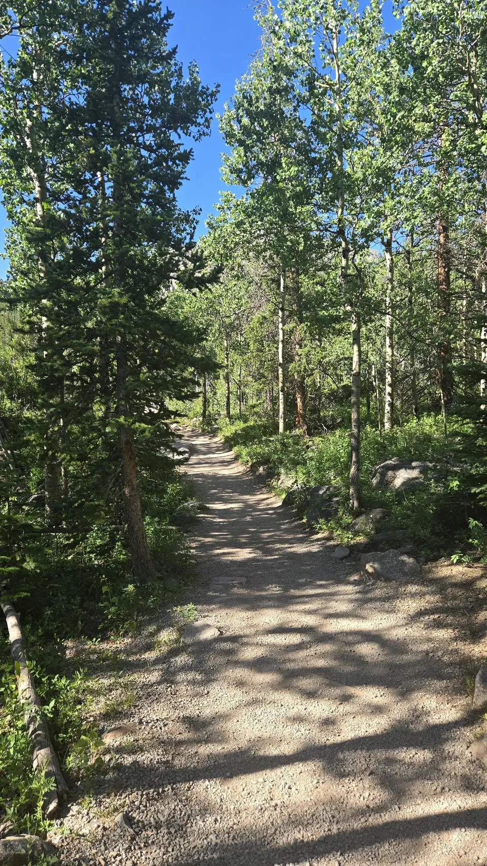 Glacier Gorge Trail